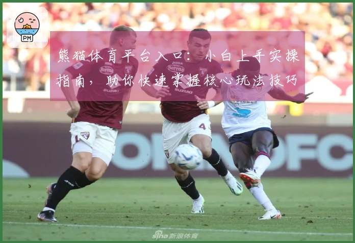 熊猫体育平台入口：小白上手实操指南，助你快速掌握核心玩法技巧