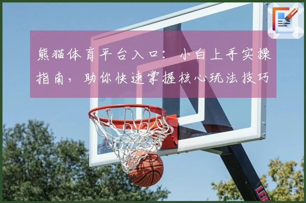 熊猫体育平台入口：小白上手实操指南，助你快速掌握核心玩法技巧